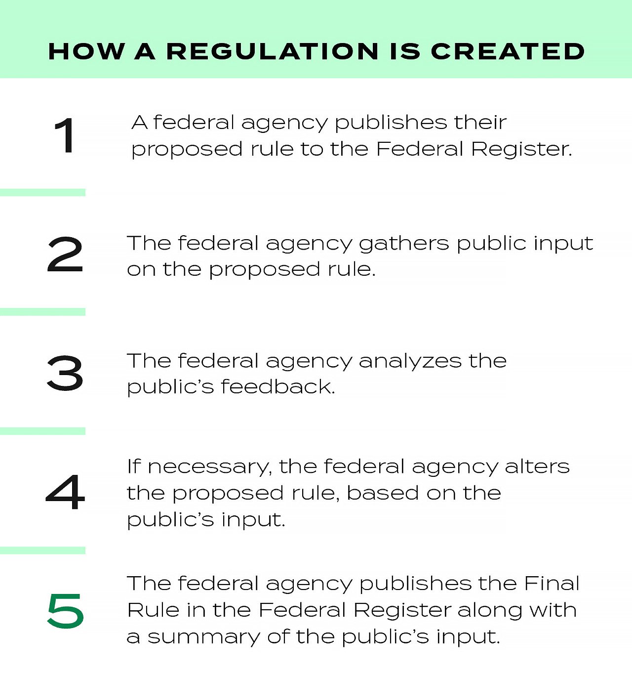 How a regulation is created. Infographic.
